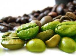 green coffee bean prof